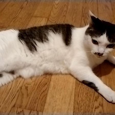 レンタルルーム目黒 도쿄 외부 사진